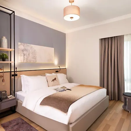 Hotel Citadines Maslak Stambuł